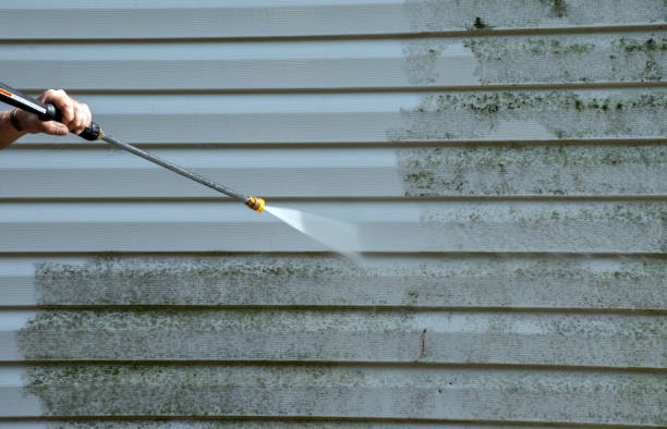 Best Building Exterior Pressure Washing in Pine Manor, FL